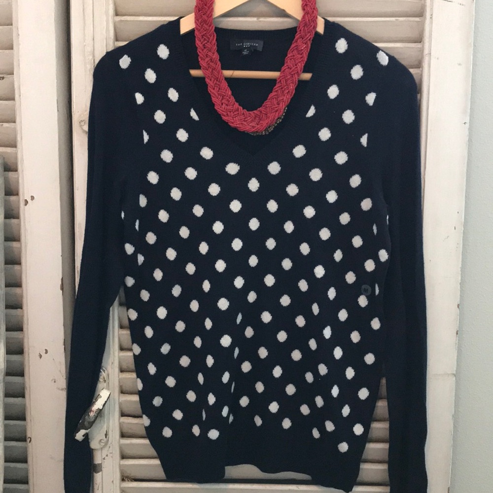 The Limited Navy blue sweater